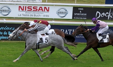 La casaque du Haras du Grand Courgeon s'est illustrée...