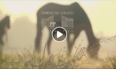 VISITE DU HARAS DU GRAND COURGEON