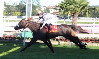 VICTOIRE DE L'INÉDITE MEETHAG