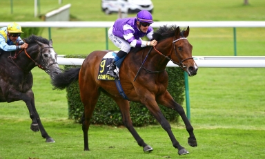 ENCORE UN GAGNANT POUR JOSHUA TREE