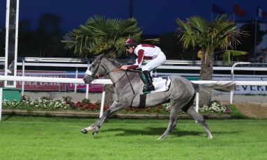 PREMIER VAINQUEUR PUR-SANG ARABE POUR DIVAMER