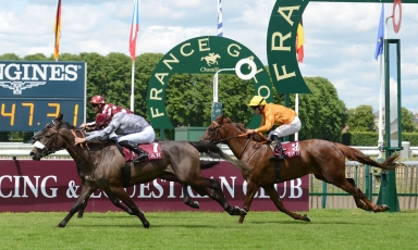 MEETHAG GAGNE LA QATAR COUPE DE FRANCE DES CHEVAUX ARABES