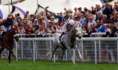 LES COULEURS DU HARAS TOUJOURS A L'HONNEUR AVEC HAPPY BERE