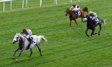 KHATAAB CLOSES SUCCESSFULLY THE 2019 FRENCH SEASON