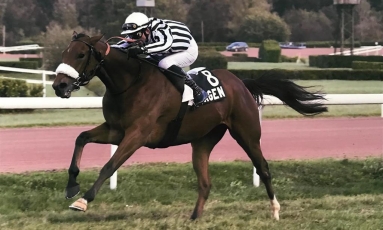 THE HARAS DU GRAND COURGEON SILKS ARE IN THE LIMELIGHT...