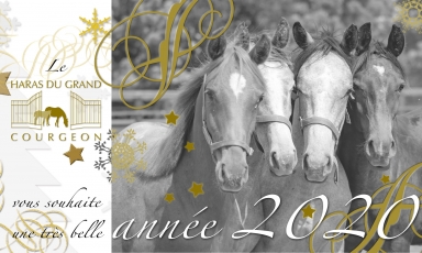 LE HARAS DU GRAND COURGEON VOUS SOUHAITE UNE TRÈS BELLE...