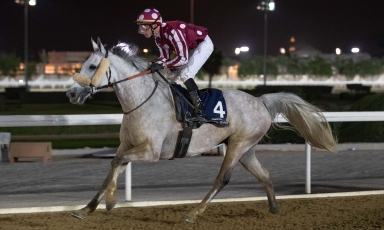 NOUVELLE VICTOIRE A DOHA POUR DABAAB
