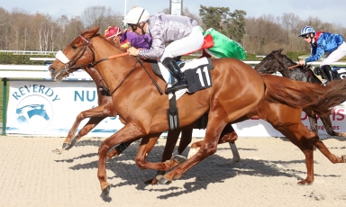 DÉBUTS VICTORIEUX DE SNAN