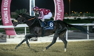 UN NOUVEAU VAINQUEUR POUR L’ÉTALON VERY NICE NAME