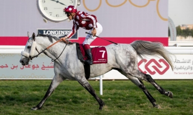 LES ELEVES DU GRAND COURGEON ONT BRILLÉ AU QATAR CETTE...