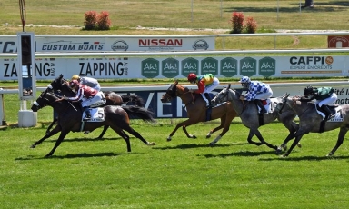 NEW WINNER FOR THE STALLION TABARAK