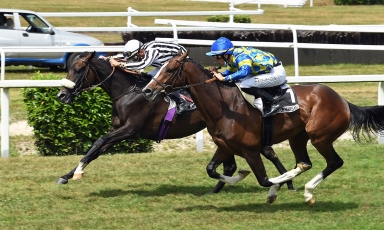 PRINCE ANODIN DECROCHE SA PREMIÈRE VICTOIRE