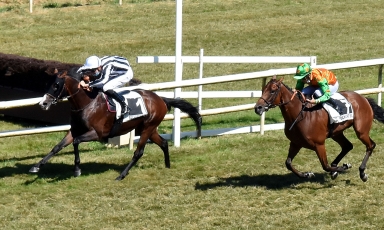 SAN PABLO S'OCTROIE LE GRAND PRIX DE ROCHEFORT