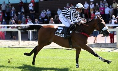 NEW SUCCESS FOR EL TEJAR