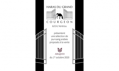 NOTRE SELECTION DE PUR-SANG ARABES PRÉSENTÉS À LA...