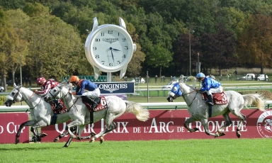 TAYF : PREMIER ÉLÈVE DU HARAS DU GRAND COURGEON A...