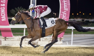 ONE-TWO FOR THE GRAND COURGEON STUD's PROGENIES