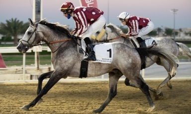 NOUVEAU VAINQUEUR POUR AL MAMUN MONLAU