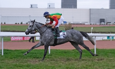 QAMRIYAH AIME AUSSI LES LONGUES DISTANCES