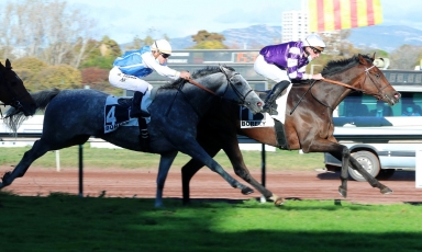 NOUVELLE VICTOIRE POUR LE FILS DE JOSHUA TREE : TOP MAX