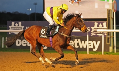 FIRST WINNER IN UK FOR TABARAK