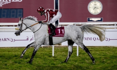 SUPERBE REPRISE A DOHA DE TAYF