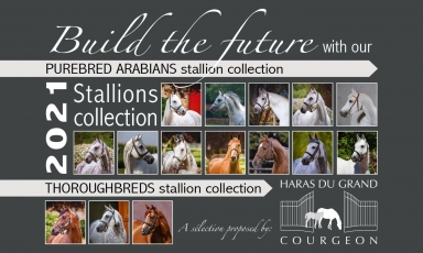 OUR STALLION BOOK IS PUBLISHED