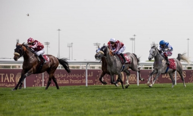 DOUBLE A DOHA DES 4 ANS ÉLEVÉS AU Grand Courgeon
