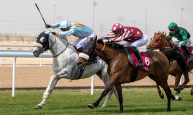 UNE VICTOIRE SUPPLÉMENTAIRE POUR LE FILS D'AL TAIR : QUEPOS