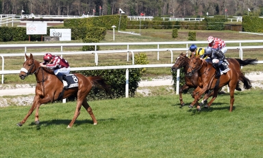 VICTOIRE EN DÉBUTANT D'AMEL