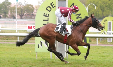PREMIER SUCCES DU 3 ANS PEARL TREE