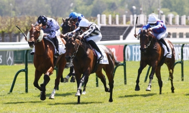 PREMIÈRE VICTOIRE SOUS LES COULEURS DU HARAS