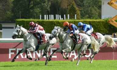 TAYF PREMIER DU CLASSEMENT INTERNATIONAL DE L'IFAHR POUR...