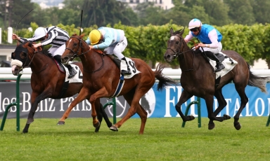 LE FILS DE JOSHUA TREE À L'HONNEUR À LONGCHAMP