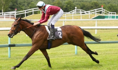FIRST WINNER BY STYLE VENDOME BRED BY THE GRAND COURGEON...