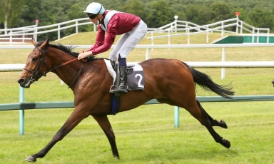 PREMIER VAINQUEUR DE STYLE VENDOME ÉLEVÉ PAR LE HARAS...