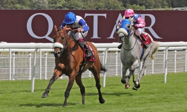 GENERAL's DAUGHTER TOWERED THE QATAR INTERNATIONAL STAKES