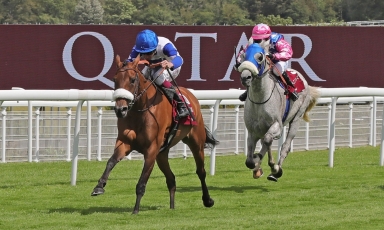 LA FILLE DE GENERAL SURVOLE LE QATAR INTERNATIONAL STAKES