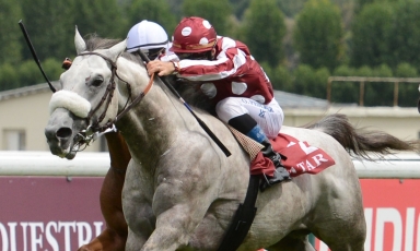 NEW GROUP 1PA WINNER AT STUD IN 2022!
