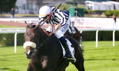 LES COULEURS DU HARAS À L'HONNEUR À SAINT-CLOUD