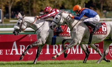 UN NOUVEAU CHAMPION À L'ÉLEVAGE