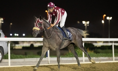 DEBUTS GAGNANTS A DOHA POUR QUEENSHALA