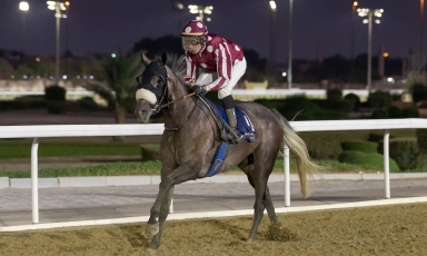 UNE NOUVELLE VICTOIRE POUR QUEENSHALA