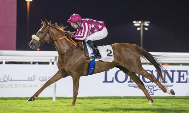 DÉBUTS VICTORIEUX À DOHA POUR UNE POULICHE ÉLEVÉE AU...