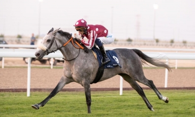 A GRAND COURGEON STUD PUPIL WINS THE RAS MLAIJI CUP