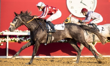 A NEW WINNER FOR GENERAL