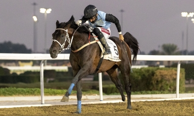 NOUVELLE VICTOIRE À DOHA POUR BIN MAJD AL ARAB