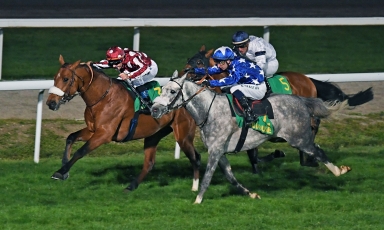 FIRST WINNER IN FRANCE FOR KALINO