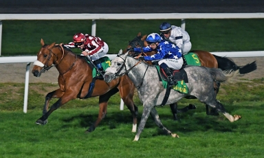 PREMIER VAINQUEUR EN FRANCE POUR KALINO