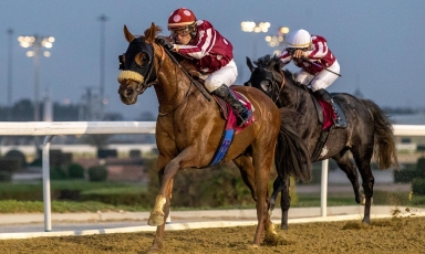DOUBLE AT DOHA FOR THE GRAND COURGEON COLTS